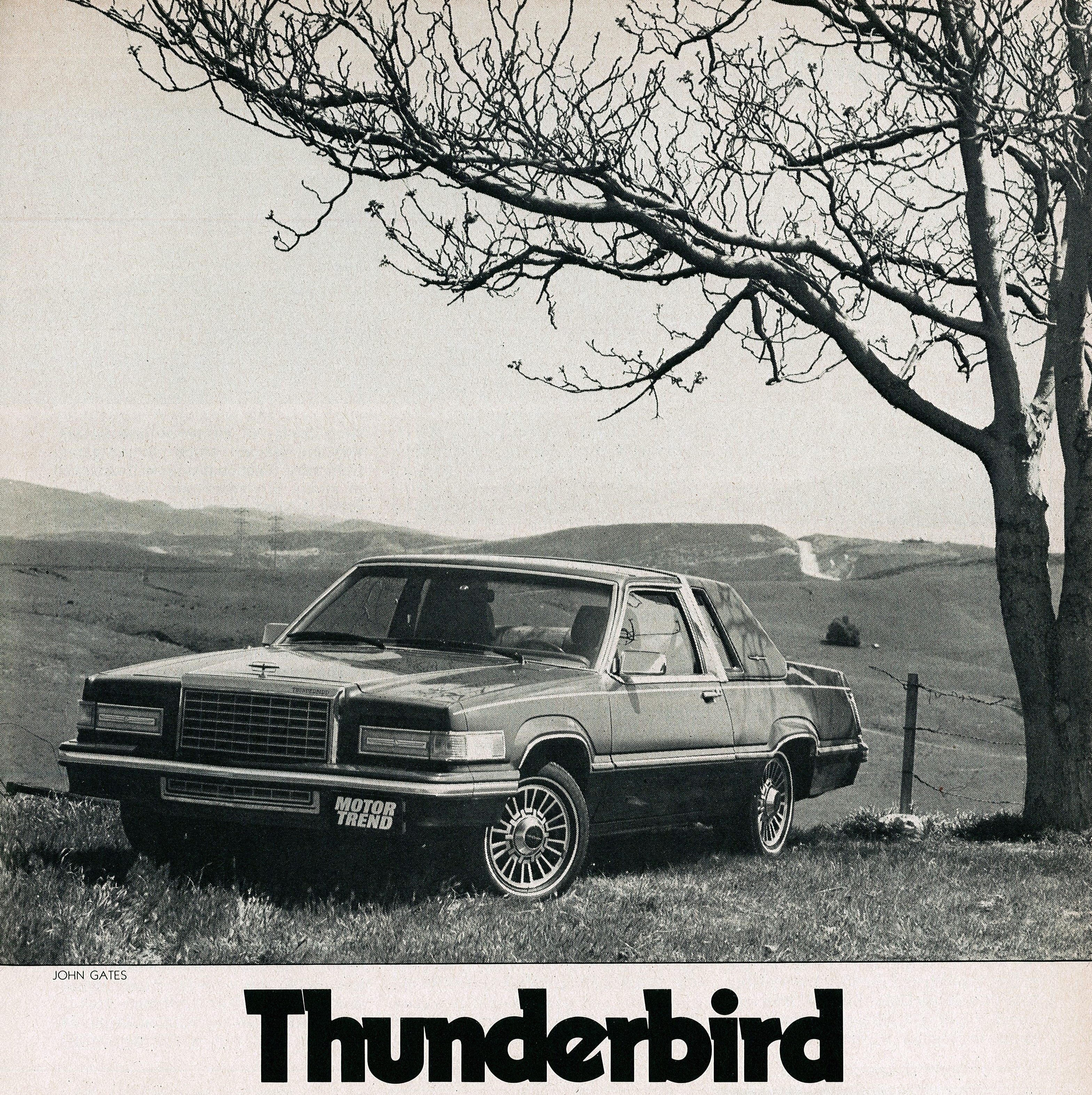 ford thunderbird (3)